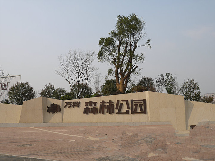 電表用於合肥萬科(kē)森林公園